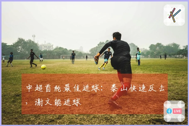 中超首轮最佳进球：泰山快速反击，谢文能进球