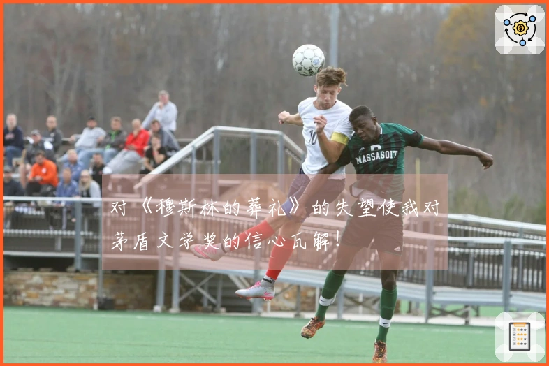 对《穆斯林的葬礼》的失望使我对茅盾文学奖的信心瓦解！