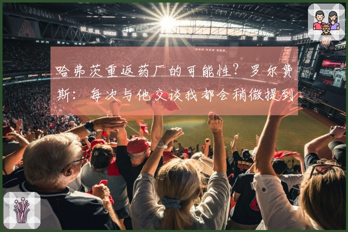 哈弗茨重返药厂的可能性？罗尔费斯：每次与他交谈我都会稍微提到这个话题