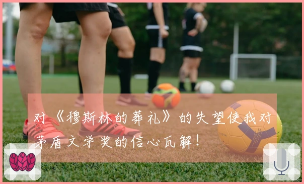 对《穆斯林的葬礼》的失望使我对茅盾文学奖的信心瓦解！